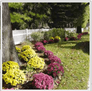 fence-contractor-charles-county-md