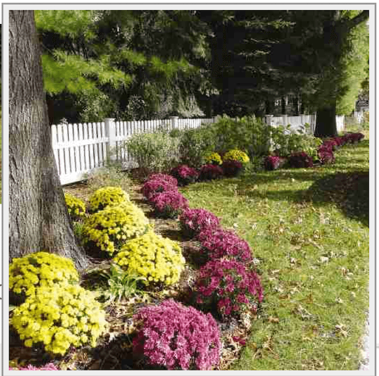 Save On Fencing Now Southern Maryland Fence Coupons